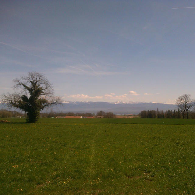 Rural