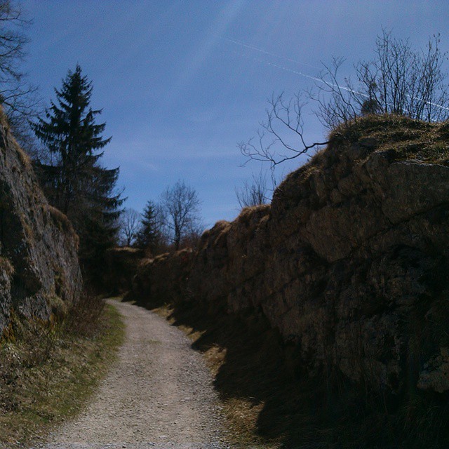 Part of the tram jurassienne.
