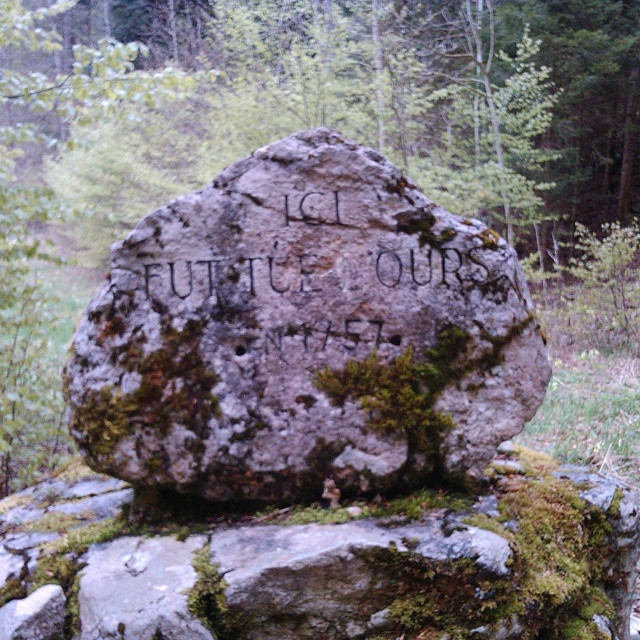 During my walk i saw this stone