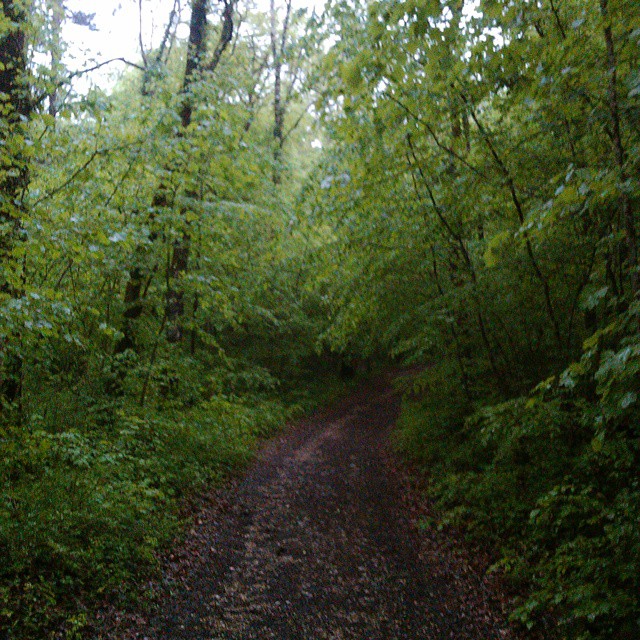 Parcour vita on a rainy day.