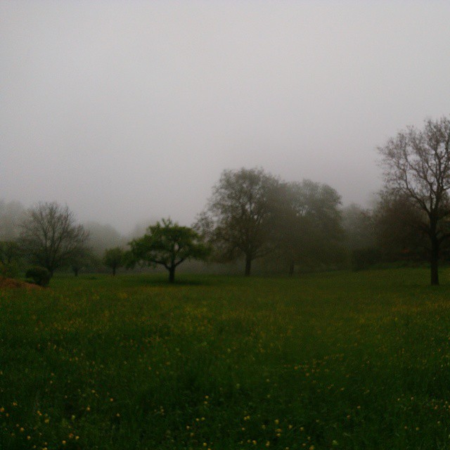 Despite appearances it is spring.