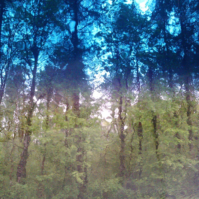 The sky is leaking again. No one has come to fix it.