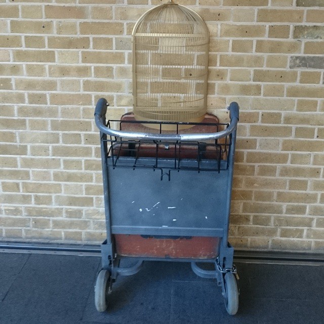 No queue.