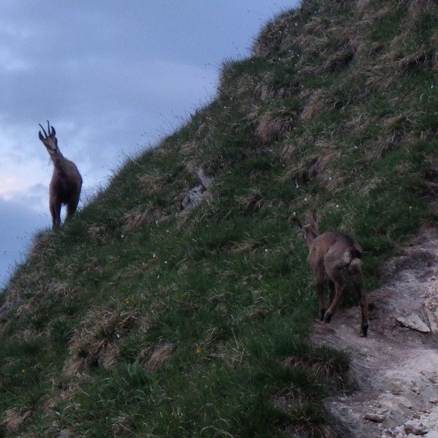 On the walk up to la dole.