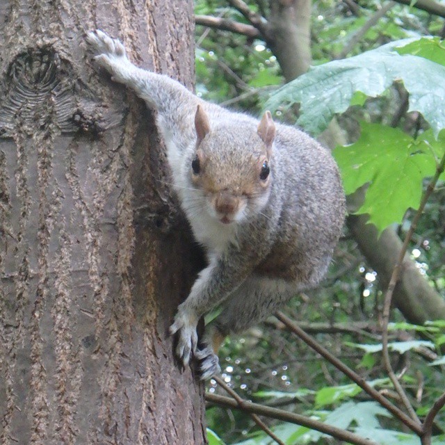I'm watching you. Don't go nuts...