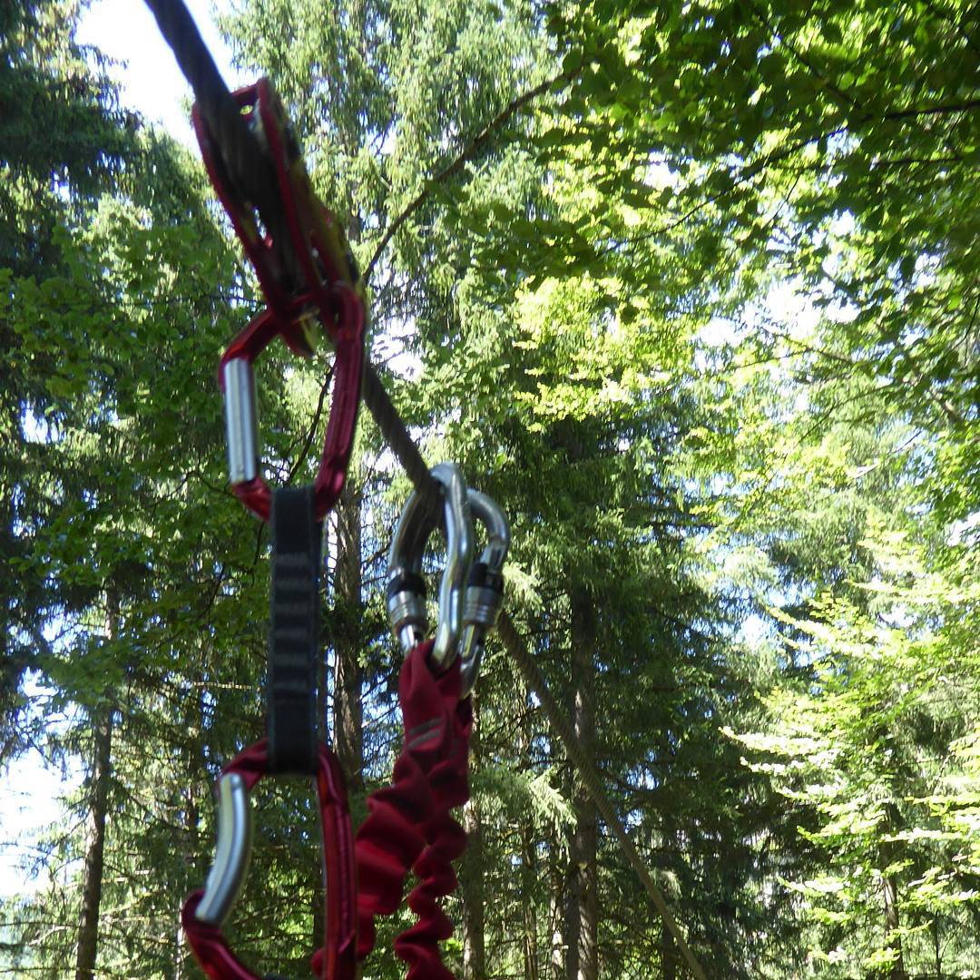 You know how George of the jungle had to watch out for that tree? I should have done the same. SPLAT.... Just kidding. I enjoyed this tyrrolean three times today.