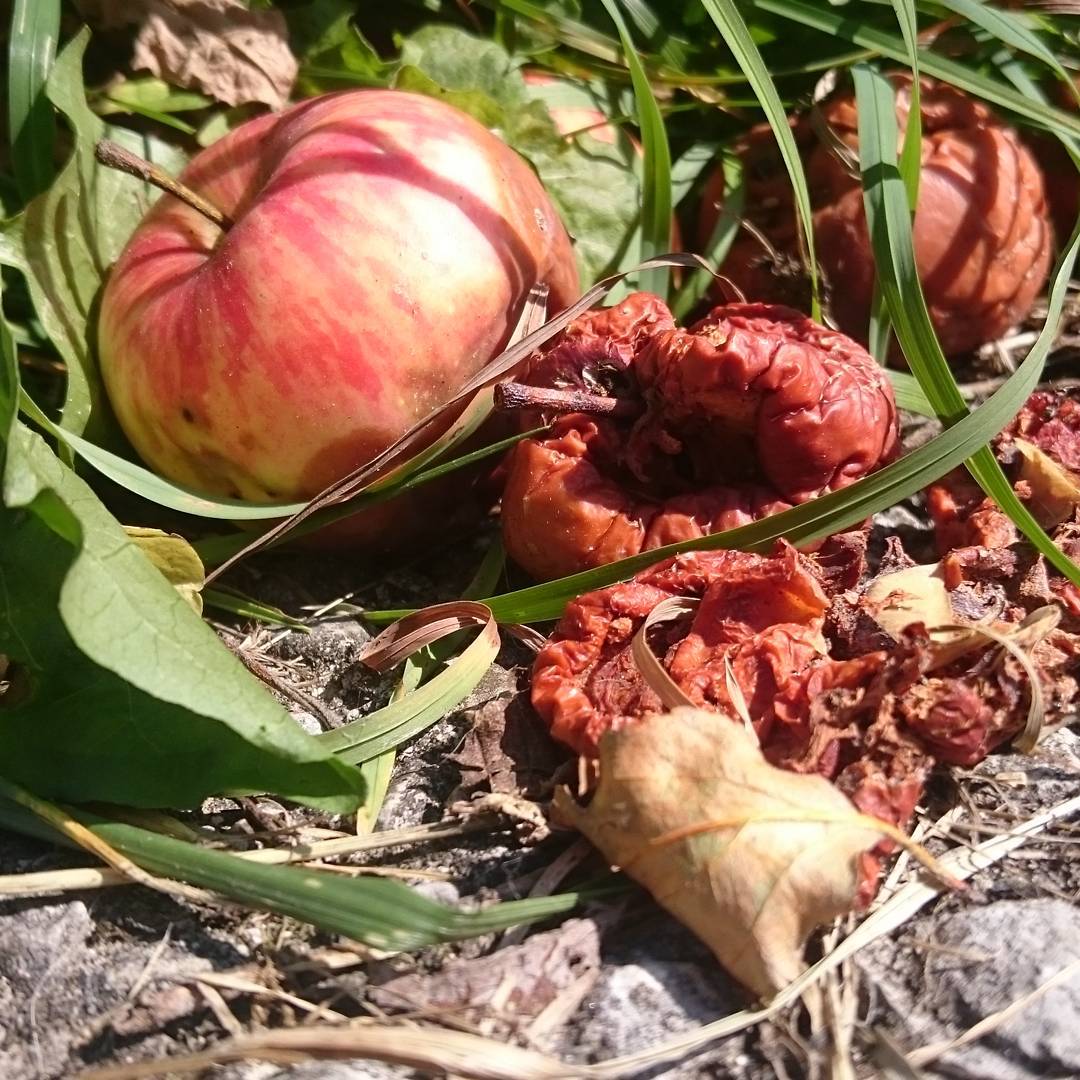 Still life.
