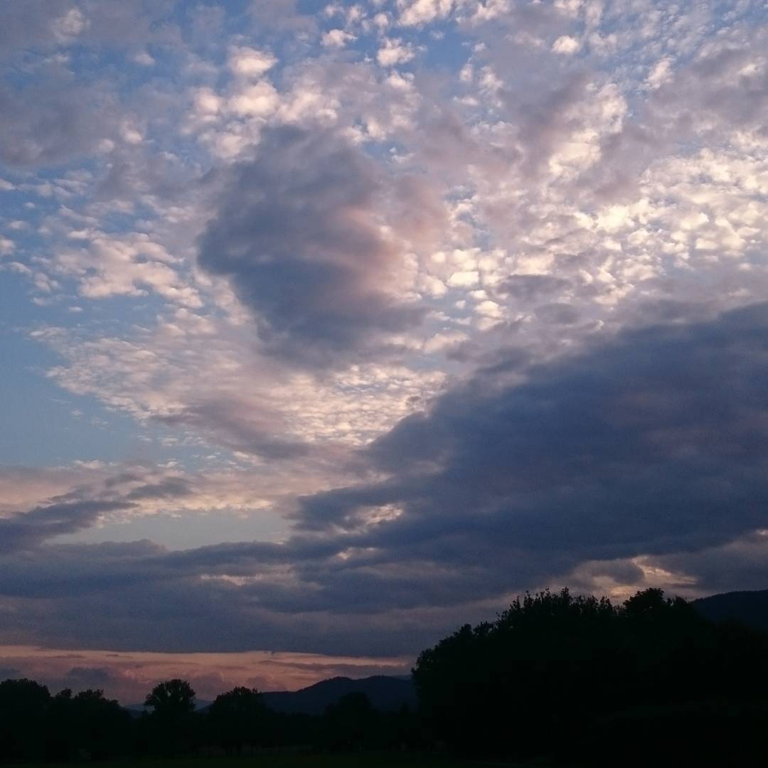 An evening walk.