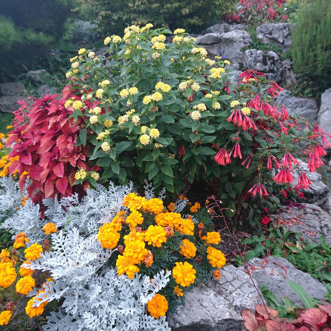 Autumn chroma.