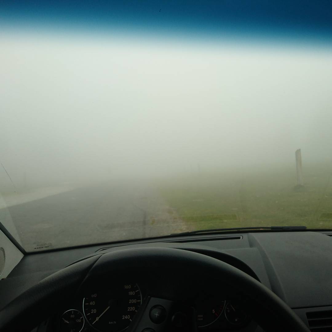 Like diving but in a car.
