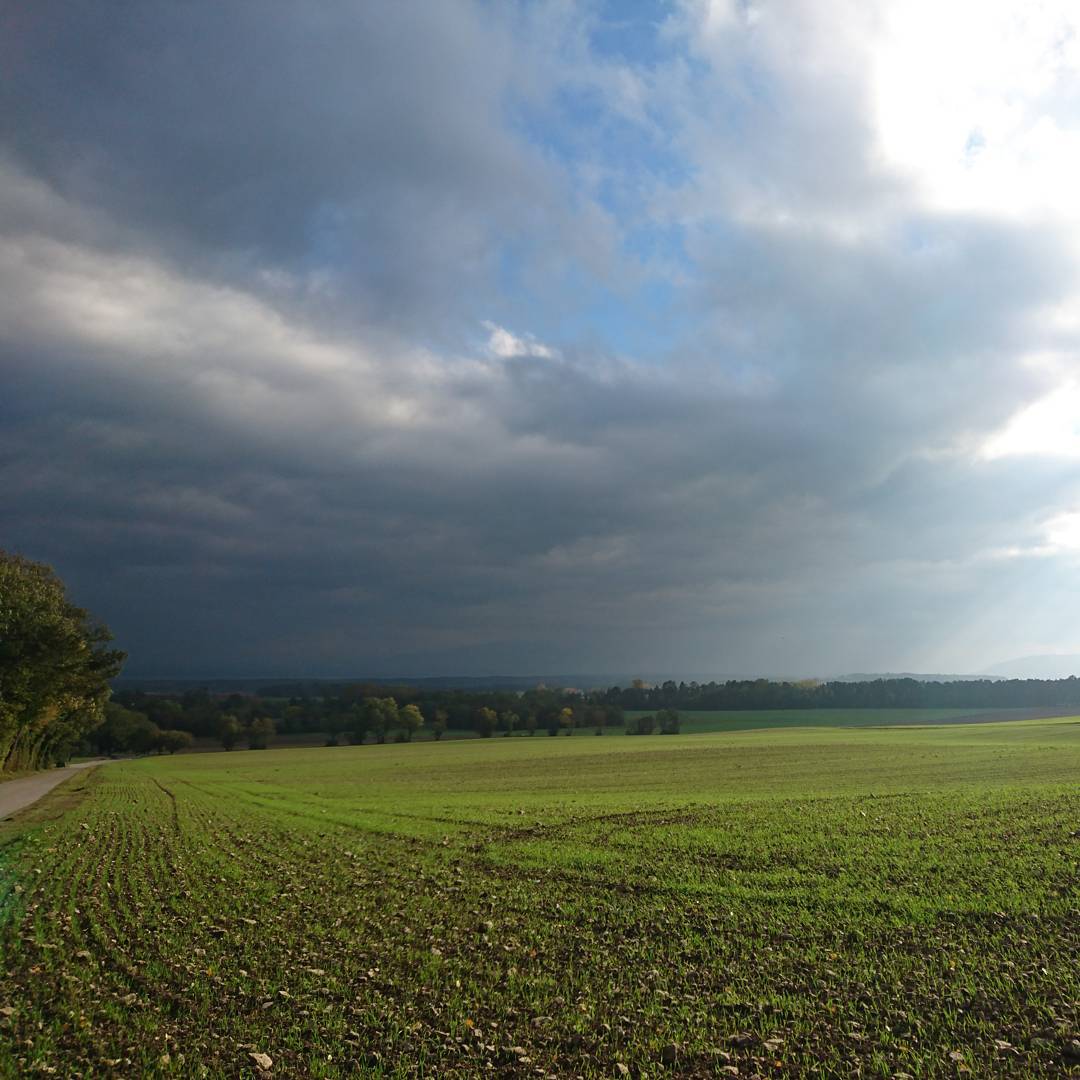 Greens, blues and grey. Autumn colours.