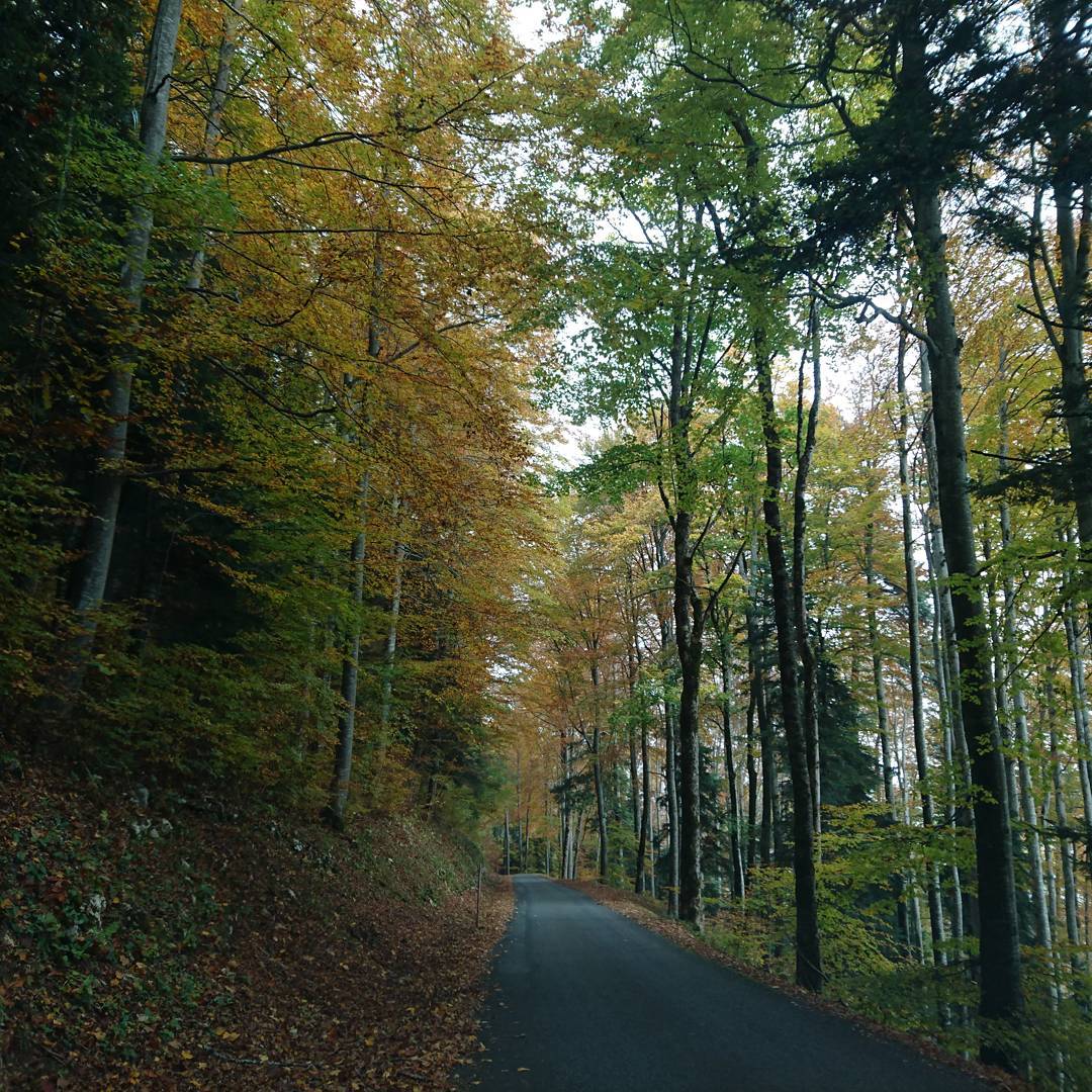 Mountain road.