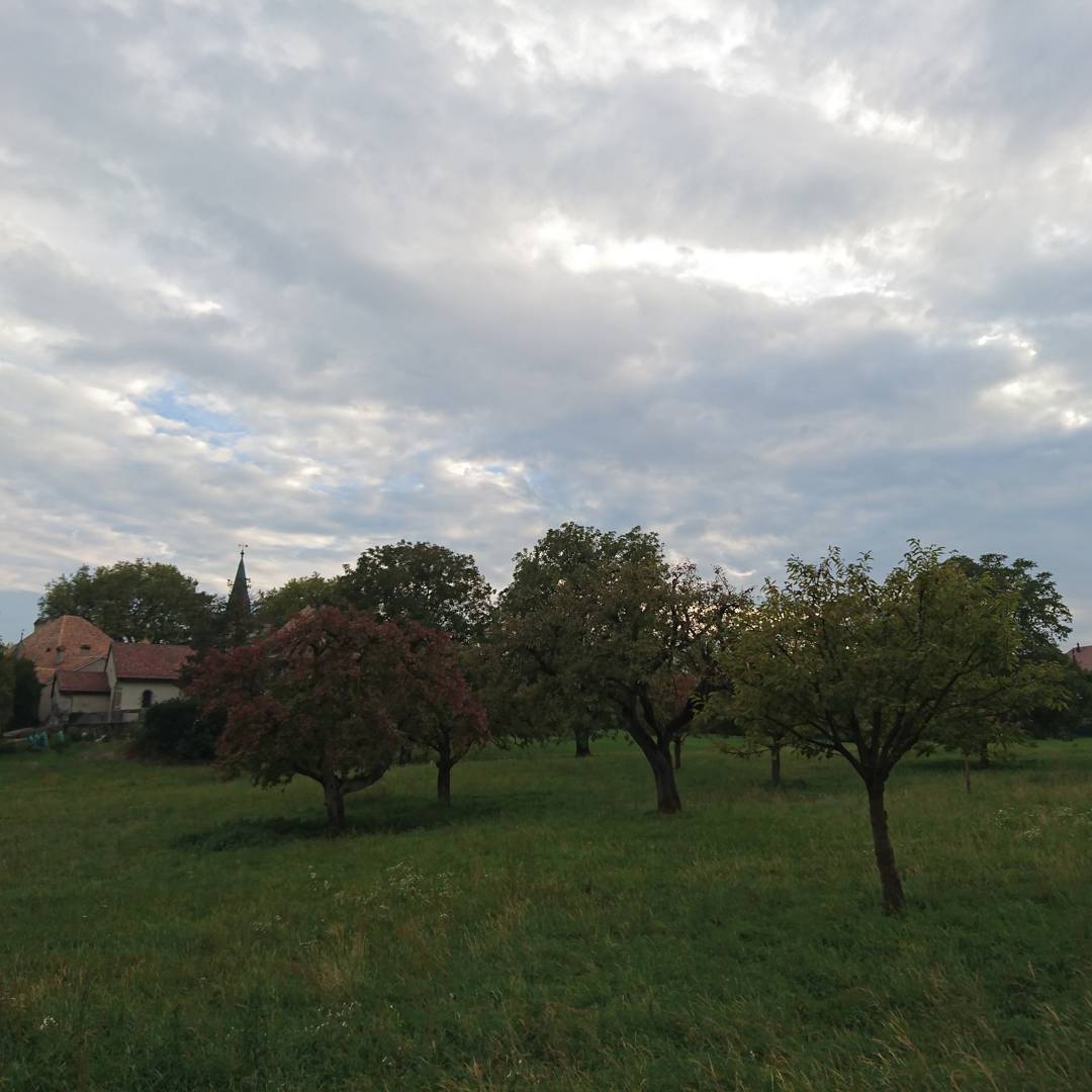 Sony Xperia z5 compact HDR test.