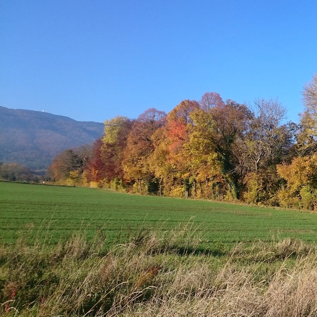 Part of the bike ride.