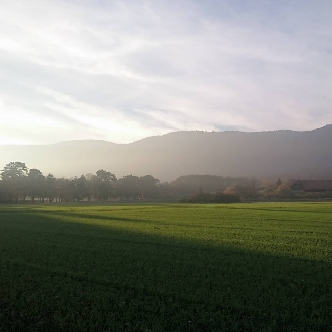 Dusk