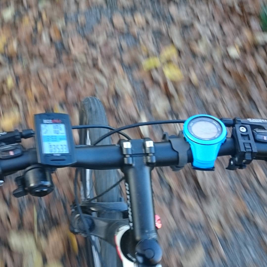 Autumn cycling.