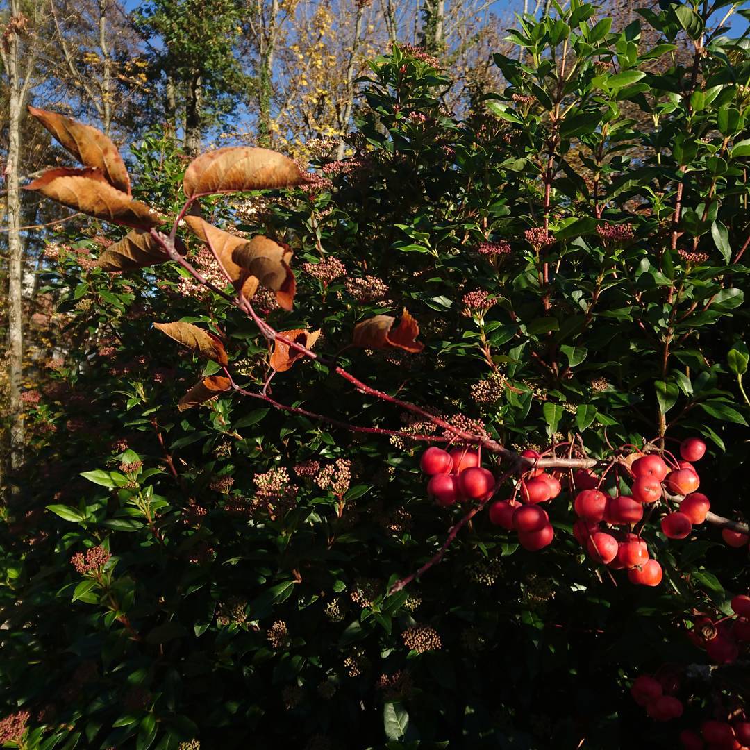 Autumn. Nice and sunny for a change.