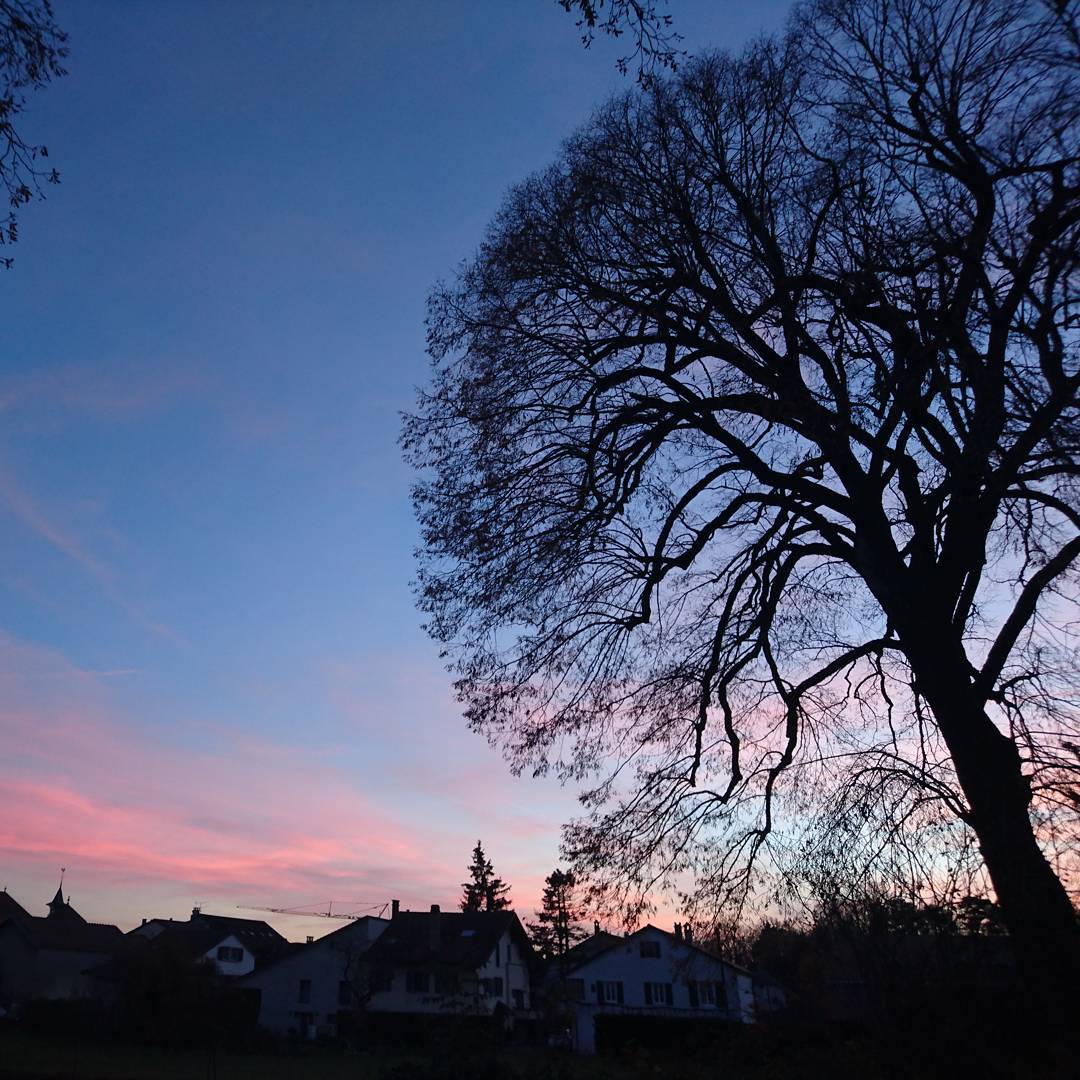 Gratuitous sunset shot
