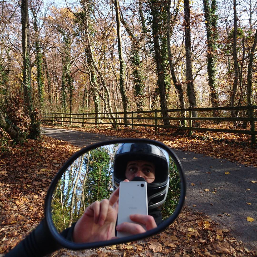Autumn scooter drive.