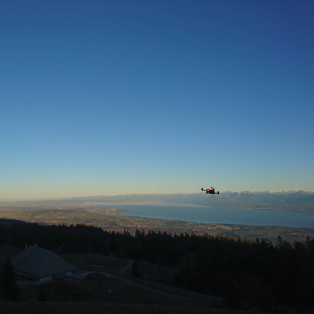 Drone season ;-)