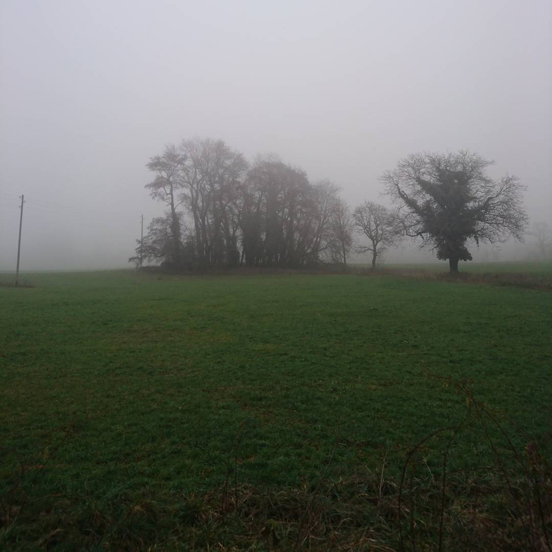 Autumn.