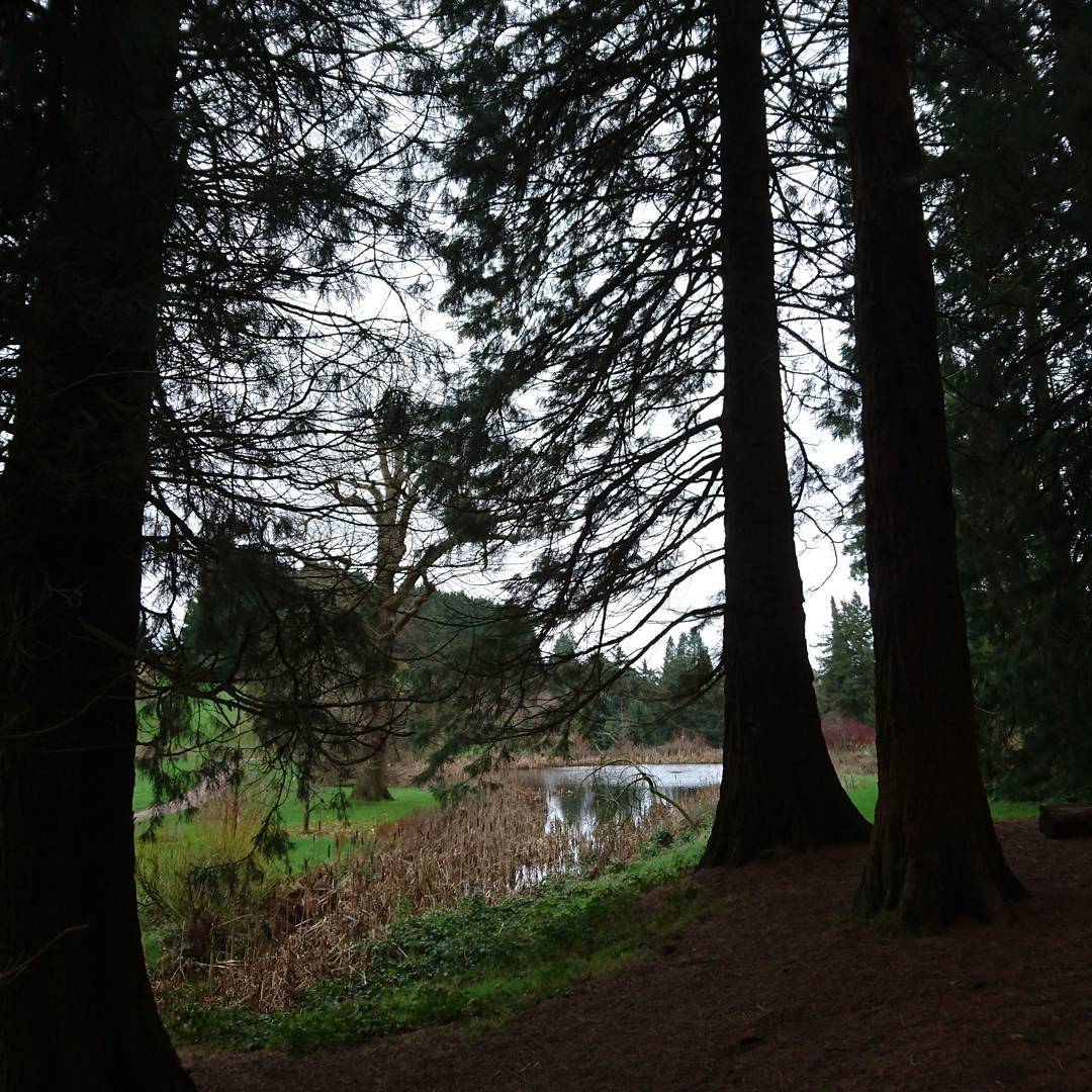 A walk in an arboretum.
