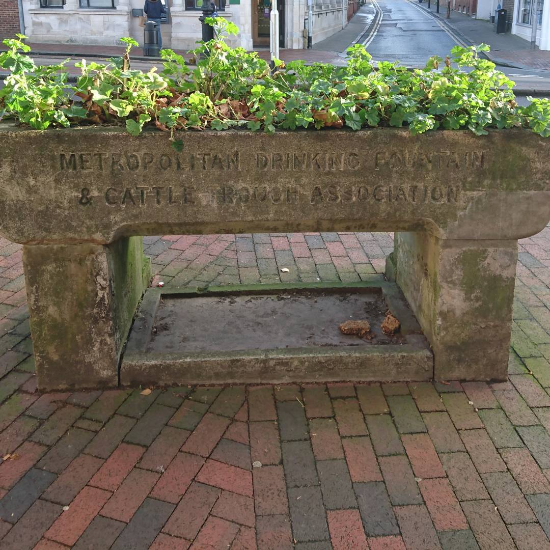 Metropolitain drinking trough