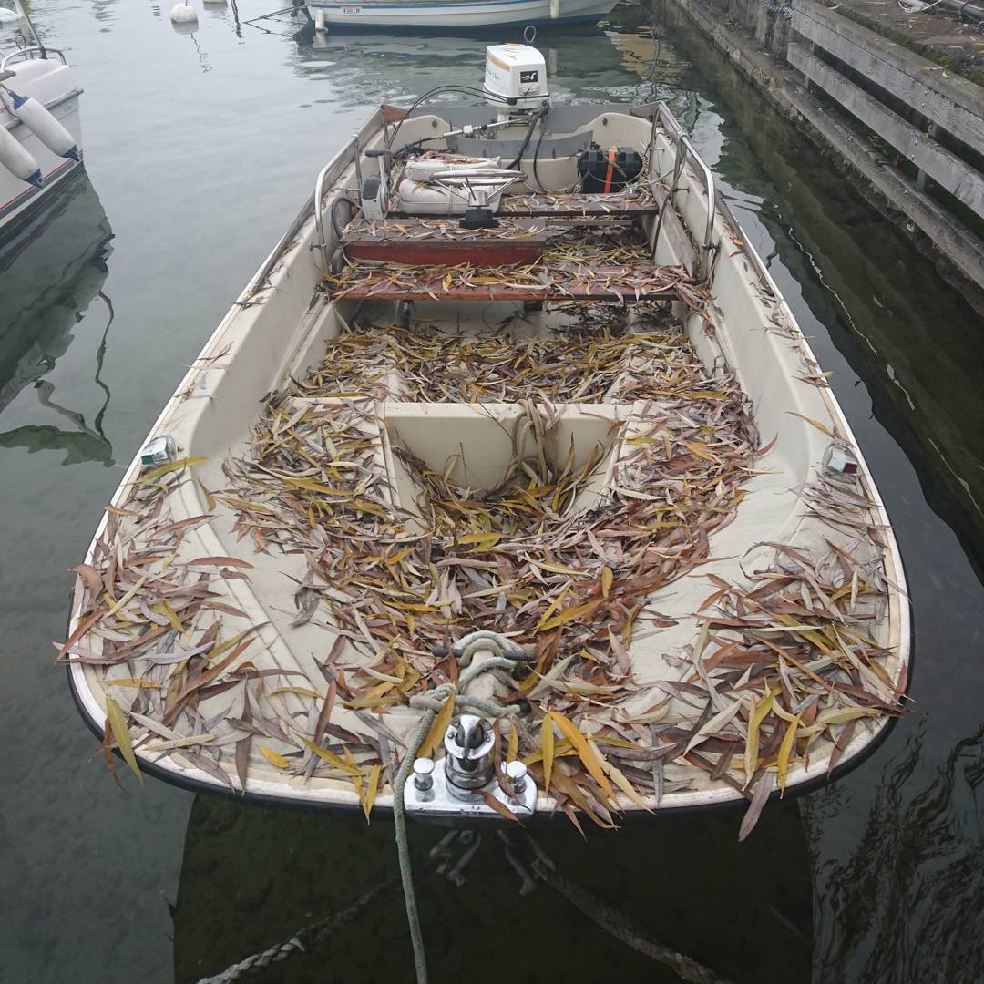 Fancy boating ;-)