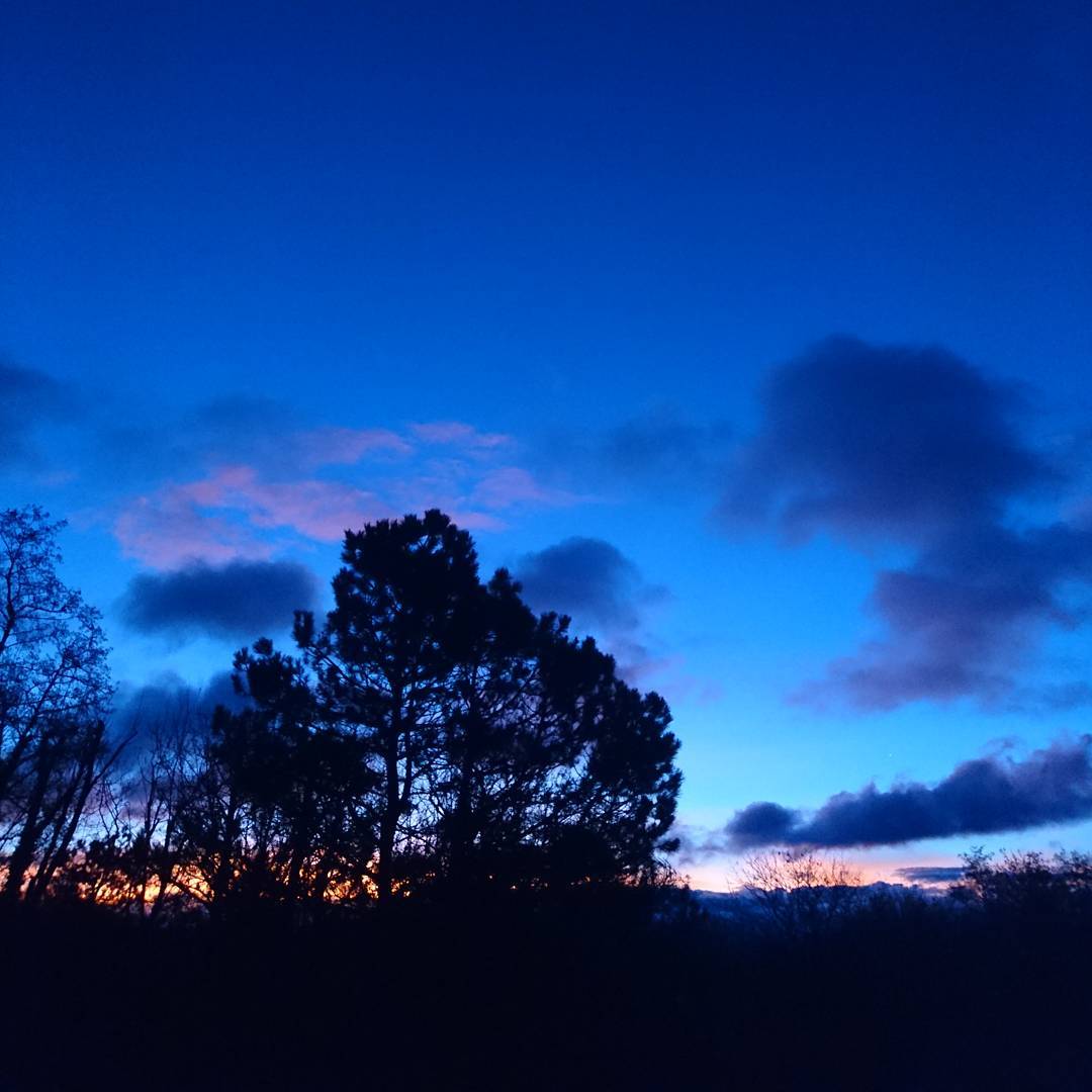 Good morning