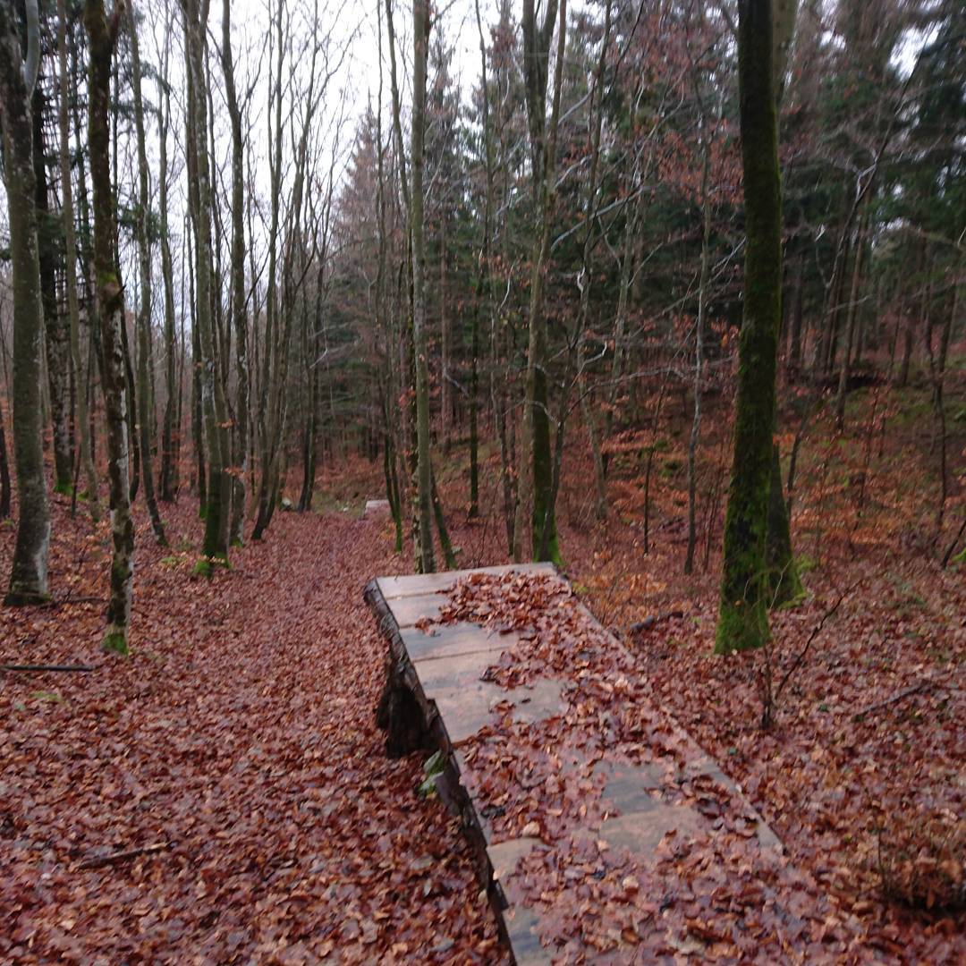 A place for mountain bikes to jump