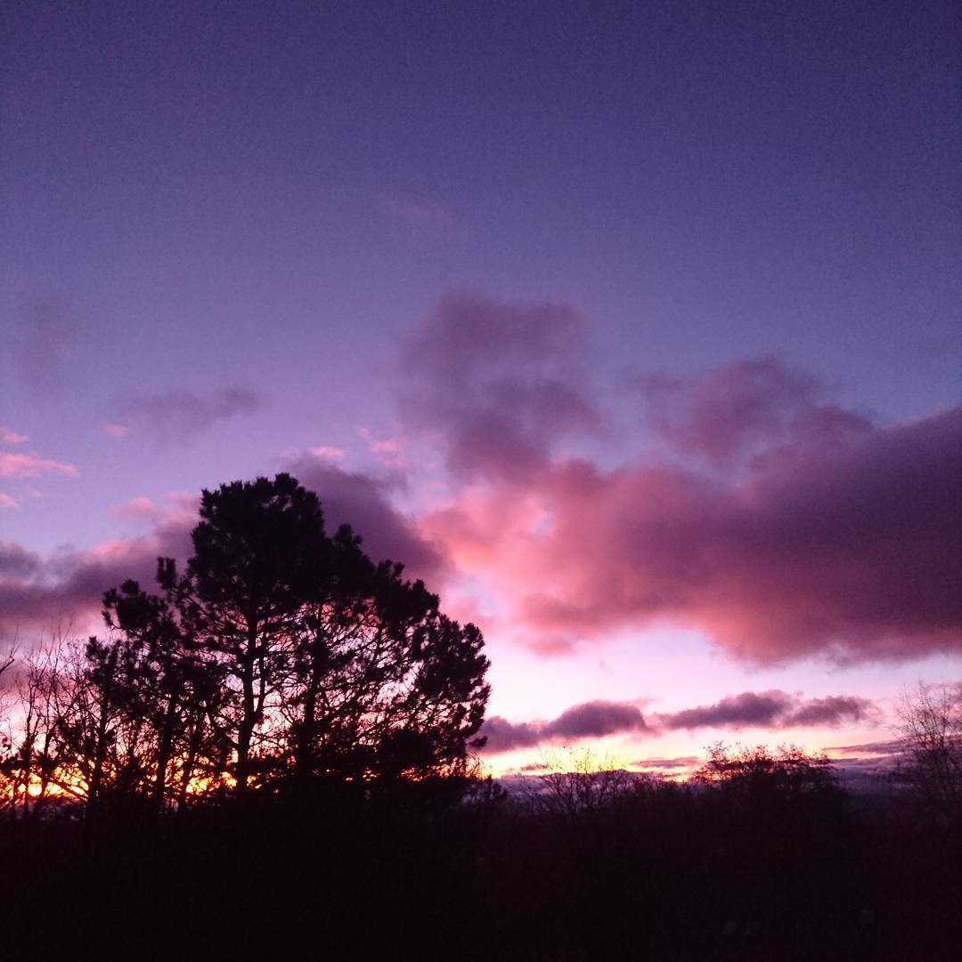Nice morning light