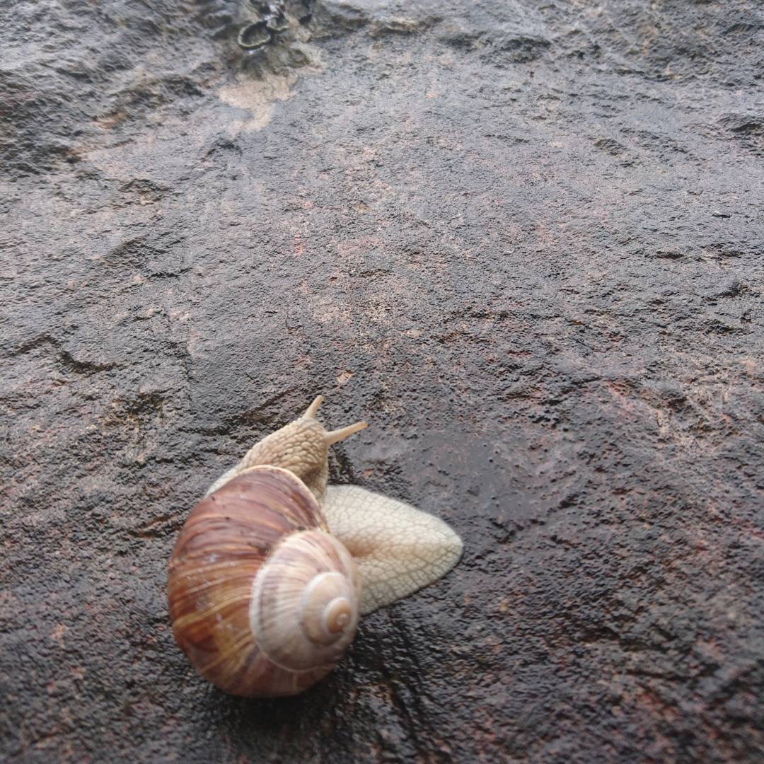 Not the ideal weather for outdoor climbing...