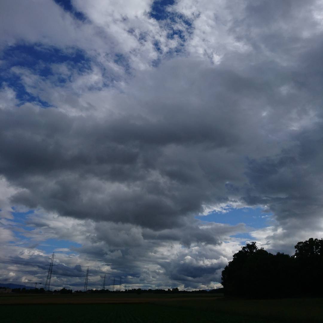 On my way home from the bike ride earlier.