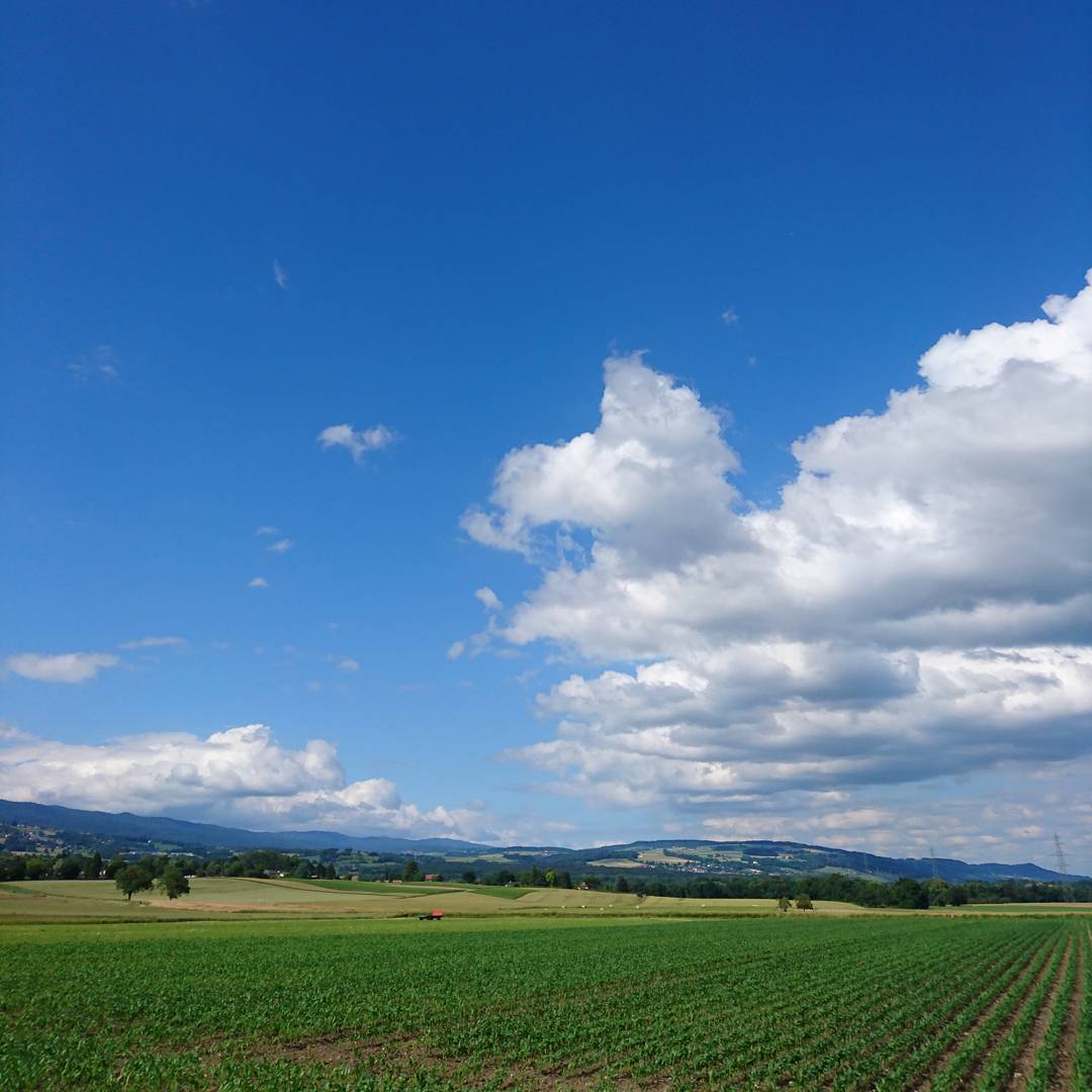 The landscape I have to put up with when I cycle ;-)
