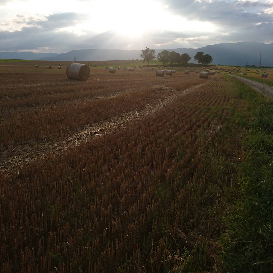 The countryside.