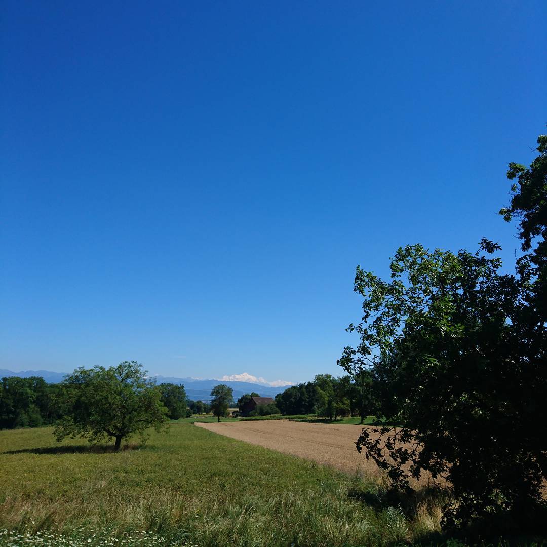 The landscape I cycle through.