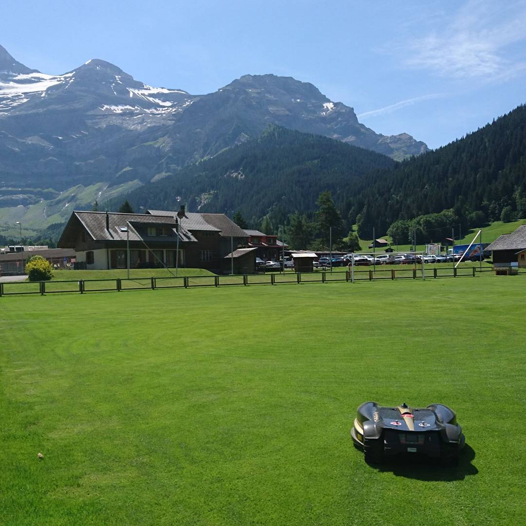 Very nice place to be a robotic lawnmower.