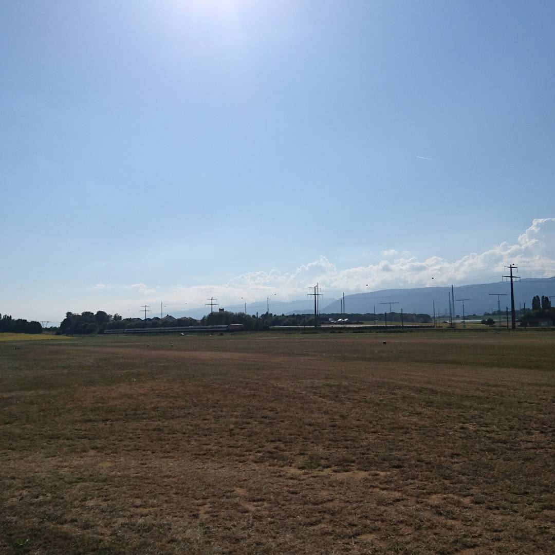 Summer conditions.