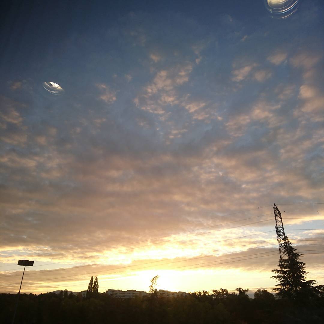The morning view.