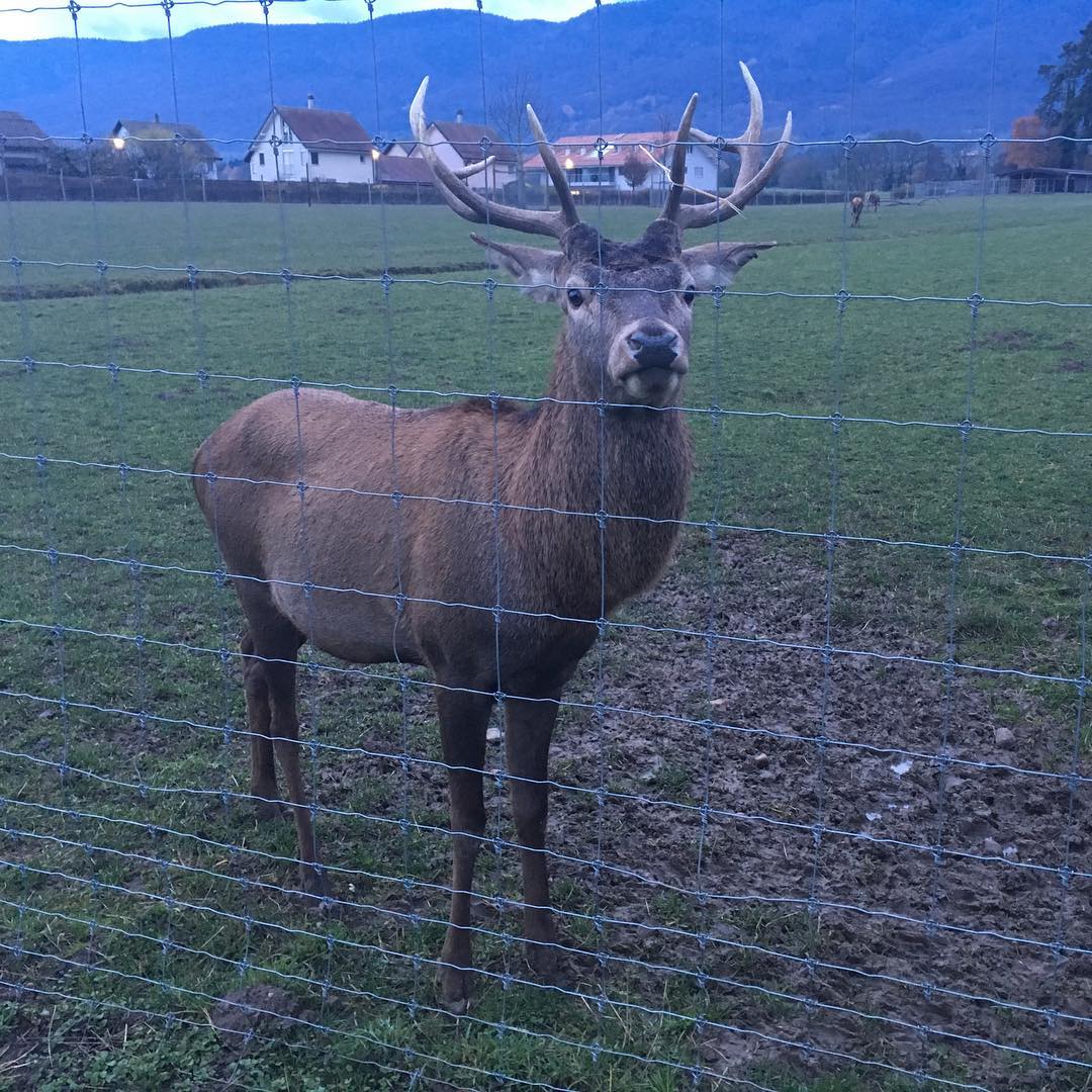 What are you looking at?