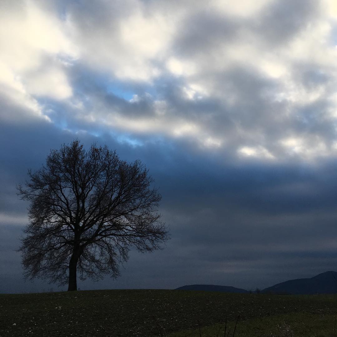 Autumn skies