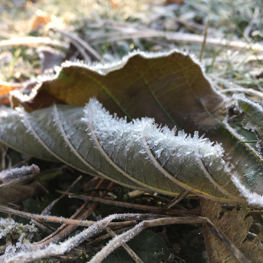 Stay frosty. ;-)