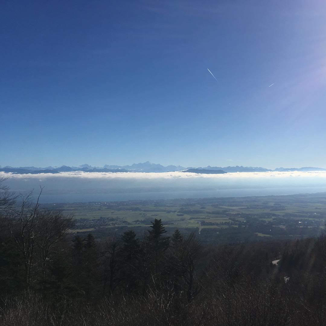 That view yet again.