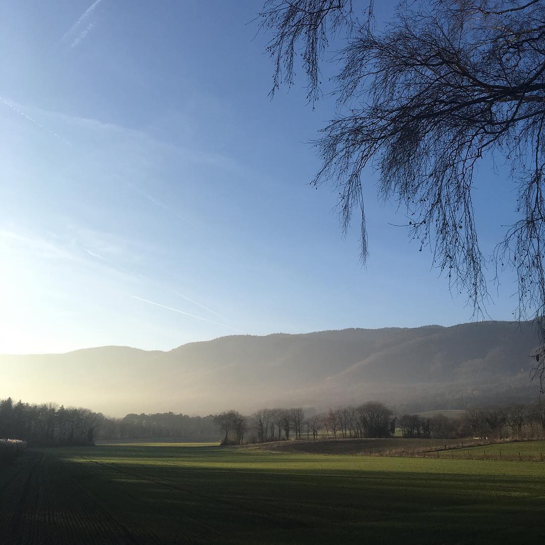 My afternoon walk