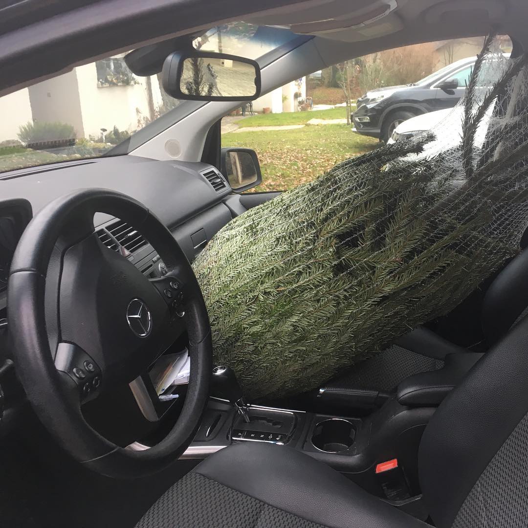 People say they like the smell of pine as an air freshener. Is this what they mean? I fear I might have taken the concept too far.