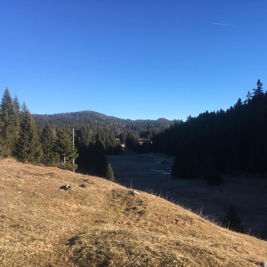 No snow at the moment.