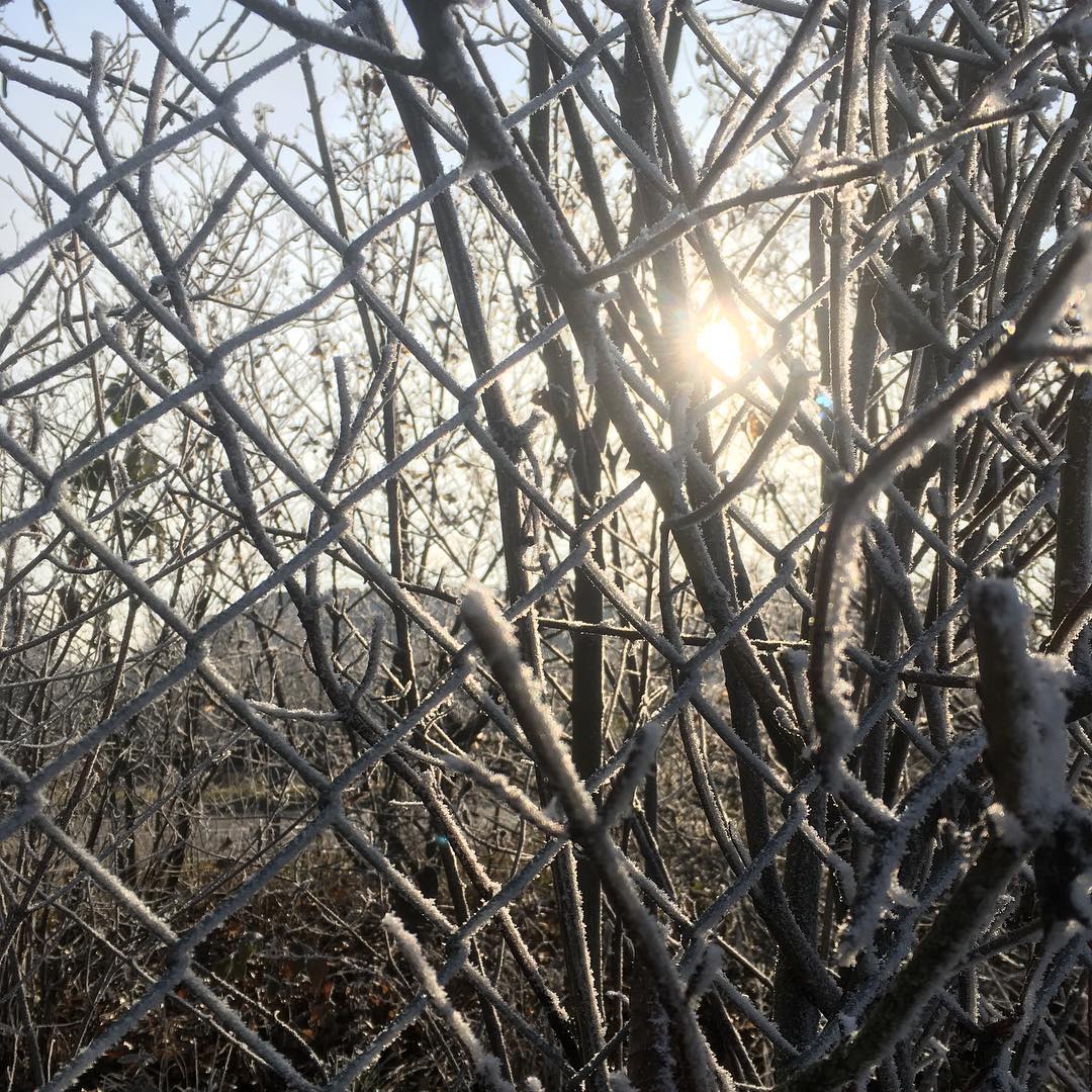 Hoar frost