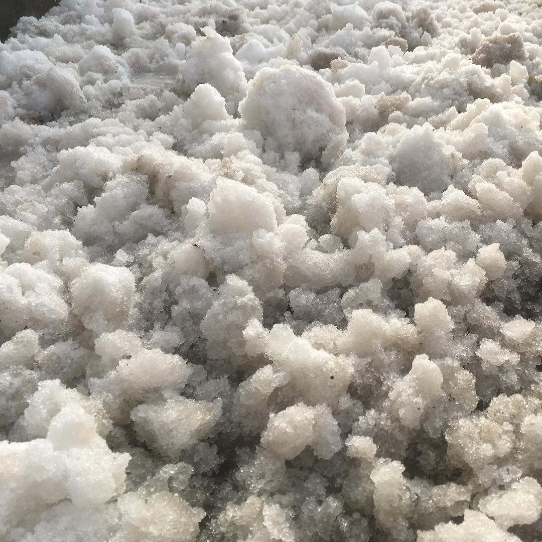 Melting snow. Finally warmer.
