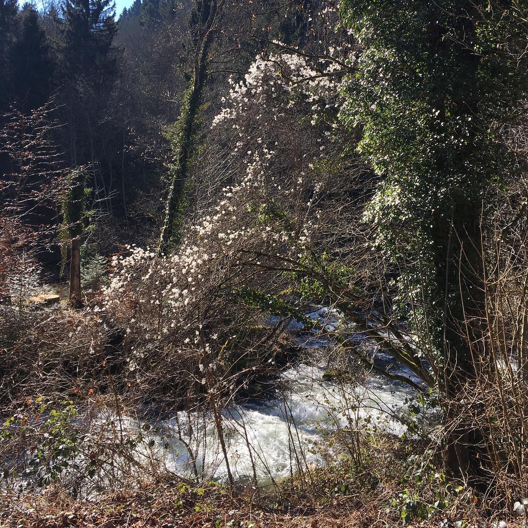 Impatient for spring this year. The winter has been hard.