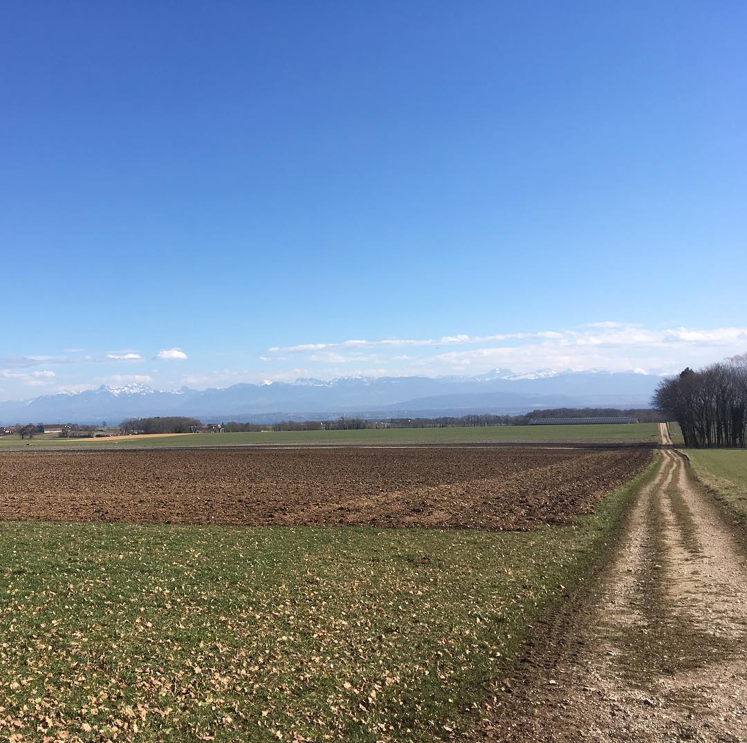 From my bike ride in the wind.
